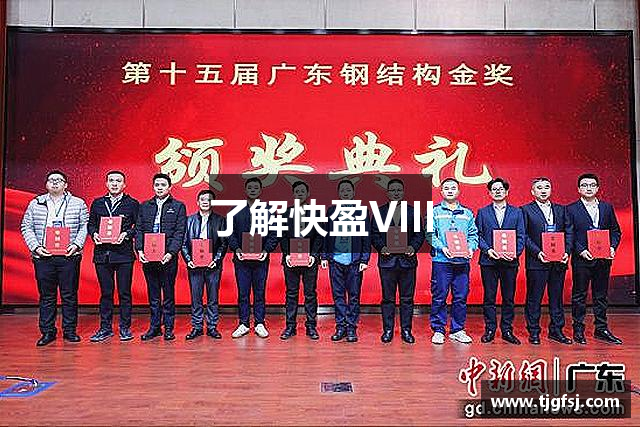 了解快盈VIII